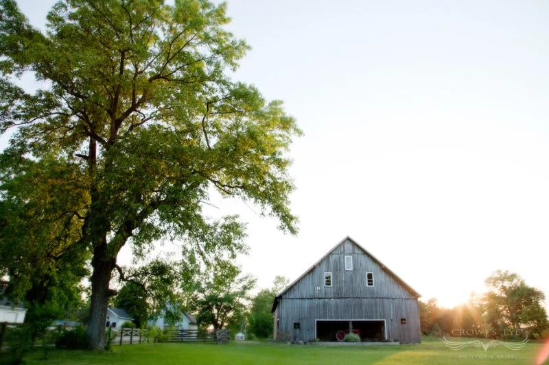 Barn Swallow Indianapolis Wedding Photography