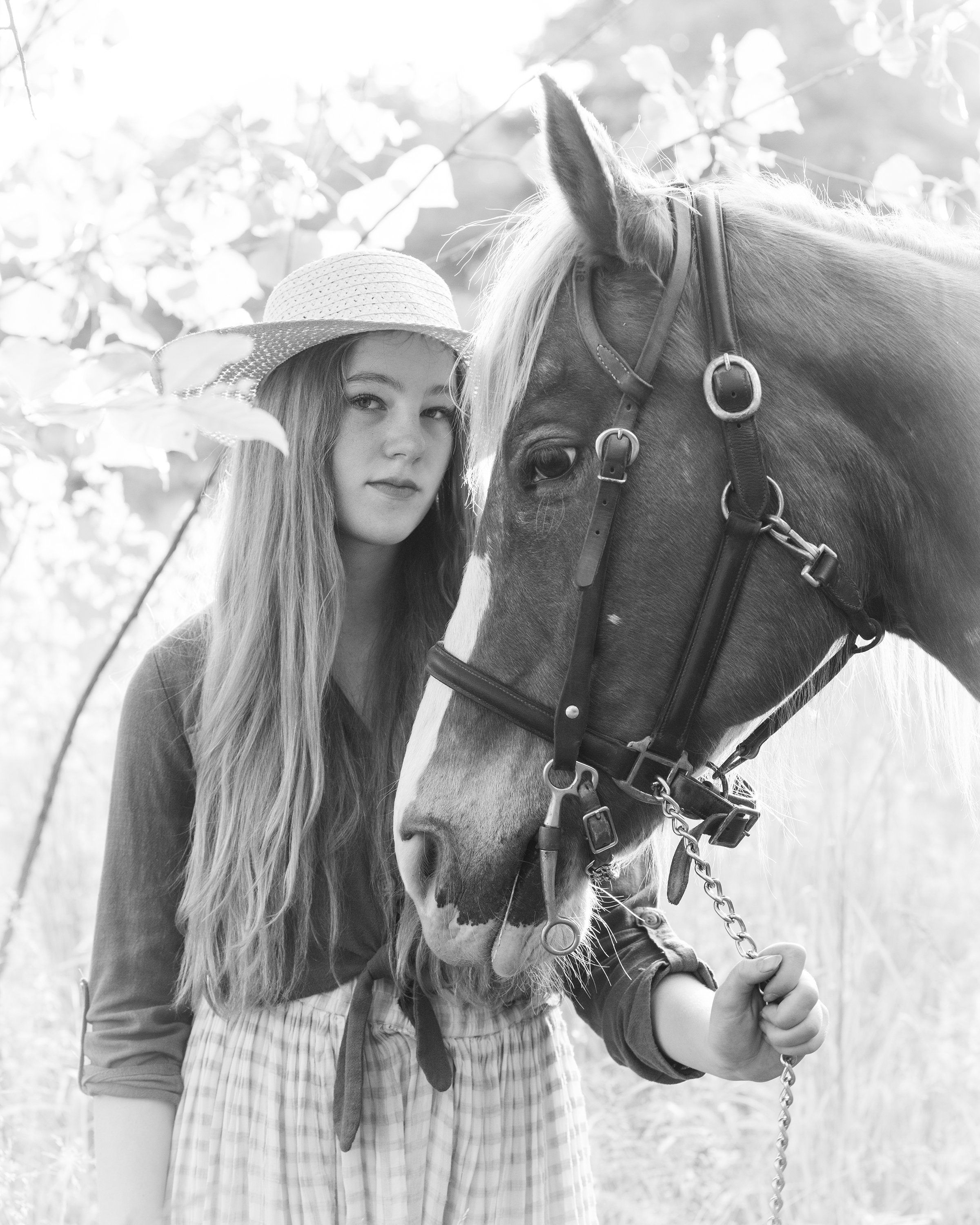 Senior Portrait_Equestrian horse and rider
