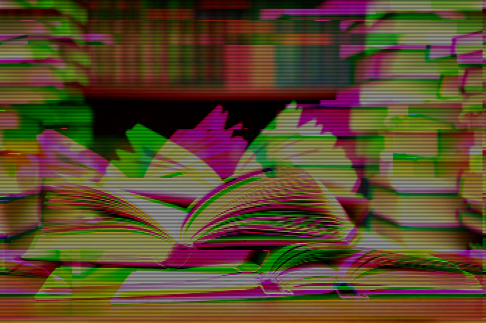 Bibliography_glitched2.png