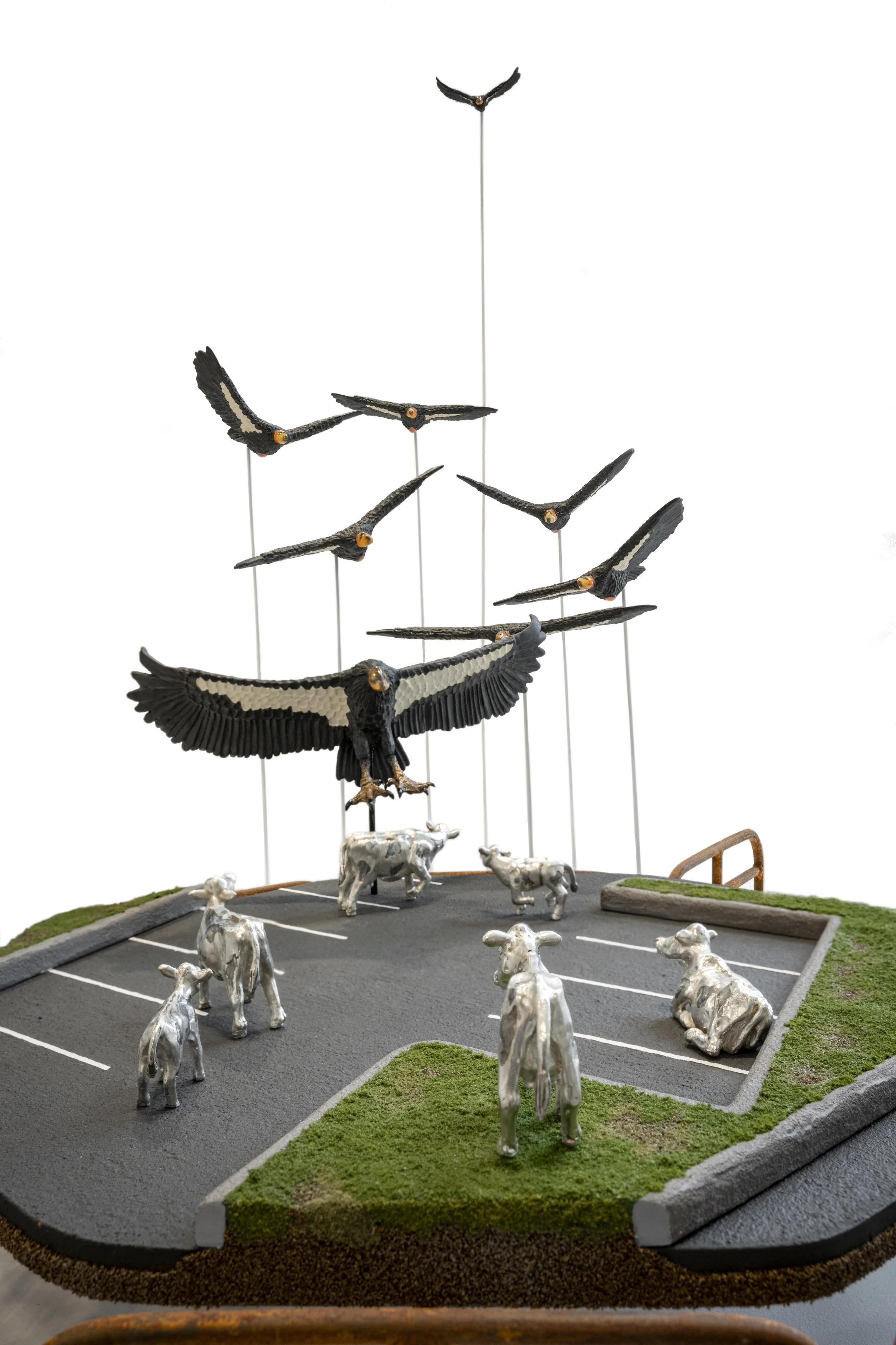 Wilson_Hannah_RareWake2_2024 (1).jpg