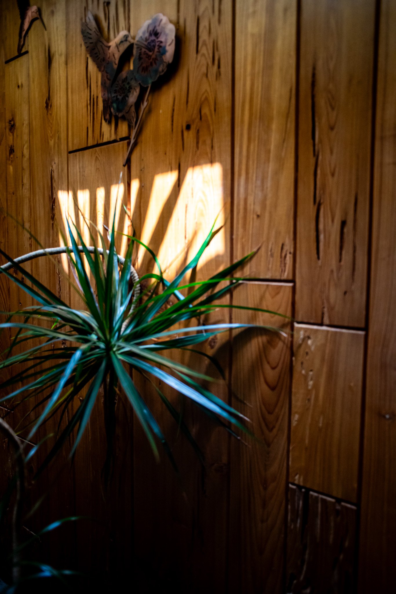 Indoor tree and wall decorations