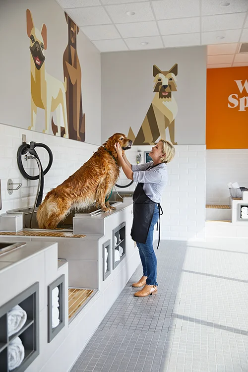 14841_petcoach_day2-SelfWash-384.jpg