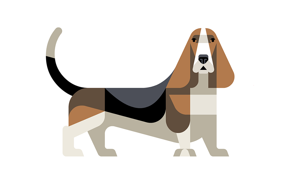 Basset Hound by JOSH BRILL.png