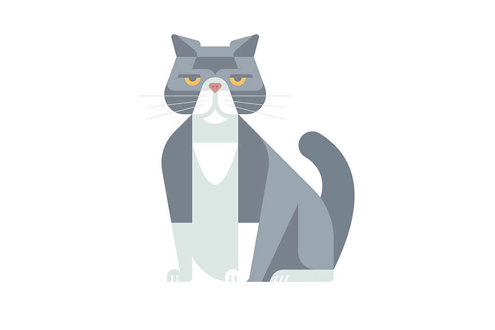 Exotic Cat by JOSH BRILL.png
