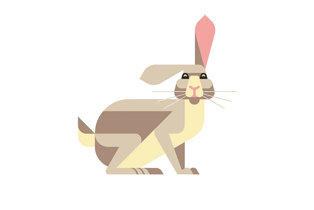 Rabbit by JOSH BRILL.jpg