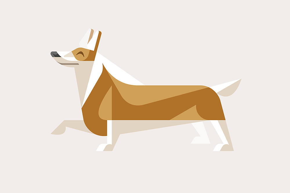 Welsh Corgi by JOSH BRILL.png