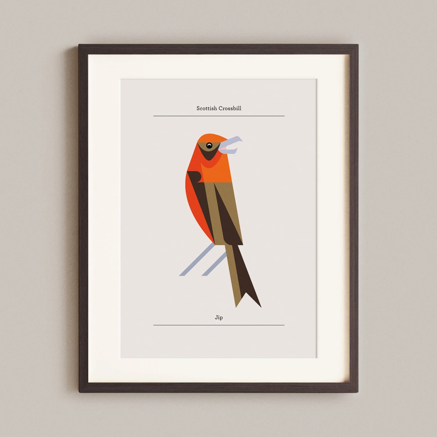 Scottish Crossbill