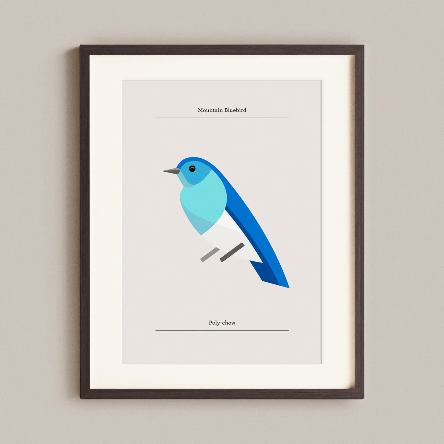 Mountain Bluebird