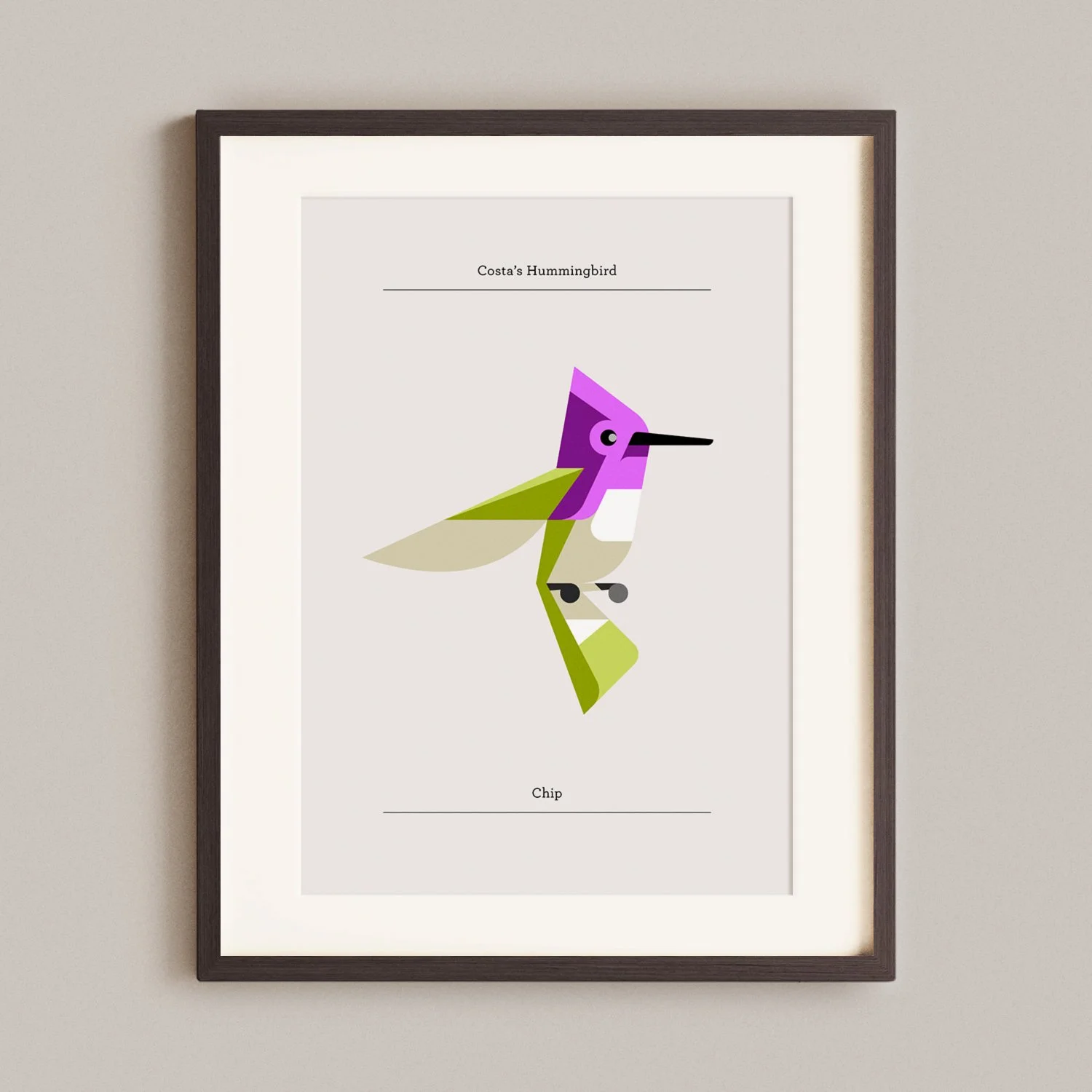 Costa's Hummingbird