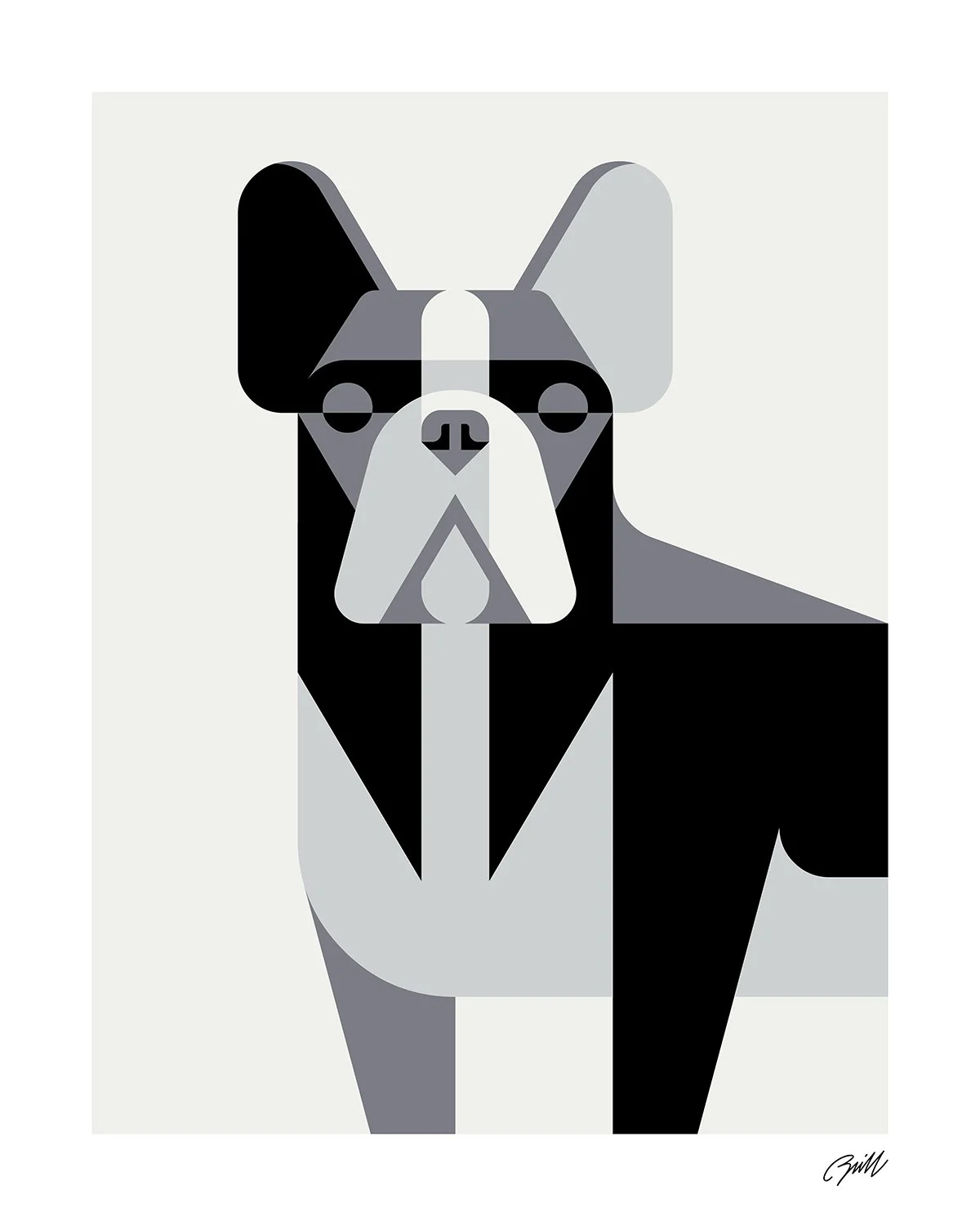 French Bulldog Portrait