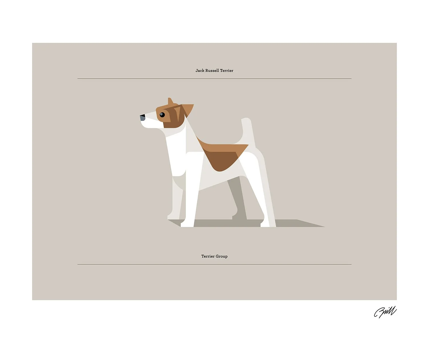 Jack Russell Terrier