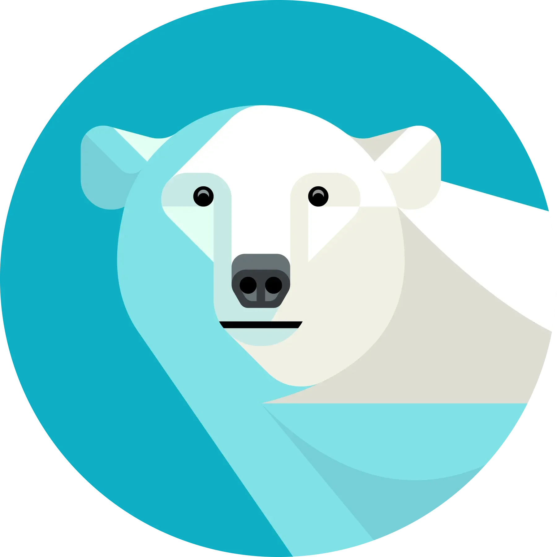 Polar-Bear-Portrait-Josh-Brill-Close-Up.webp