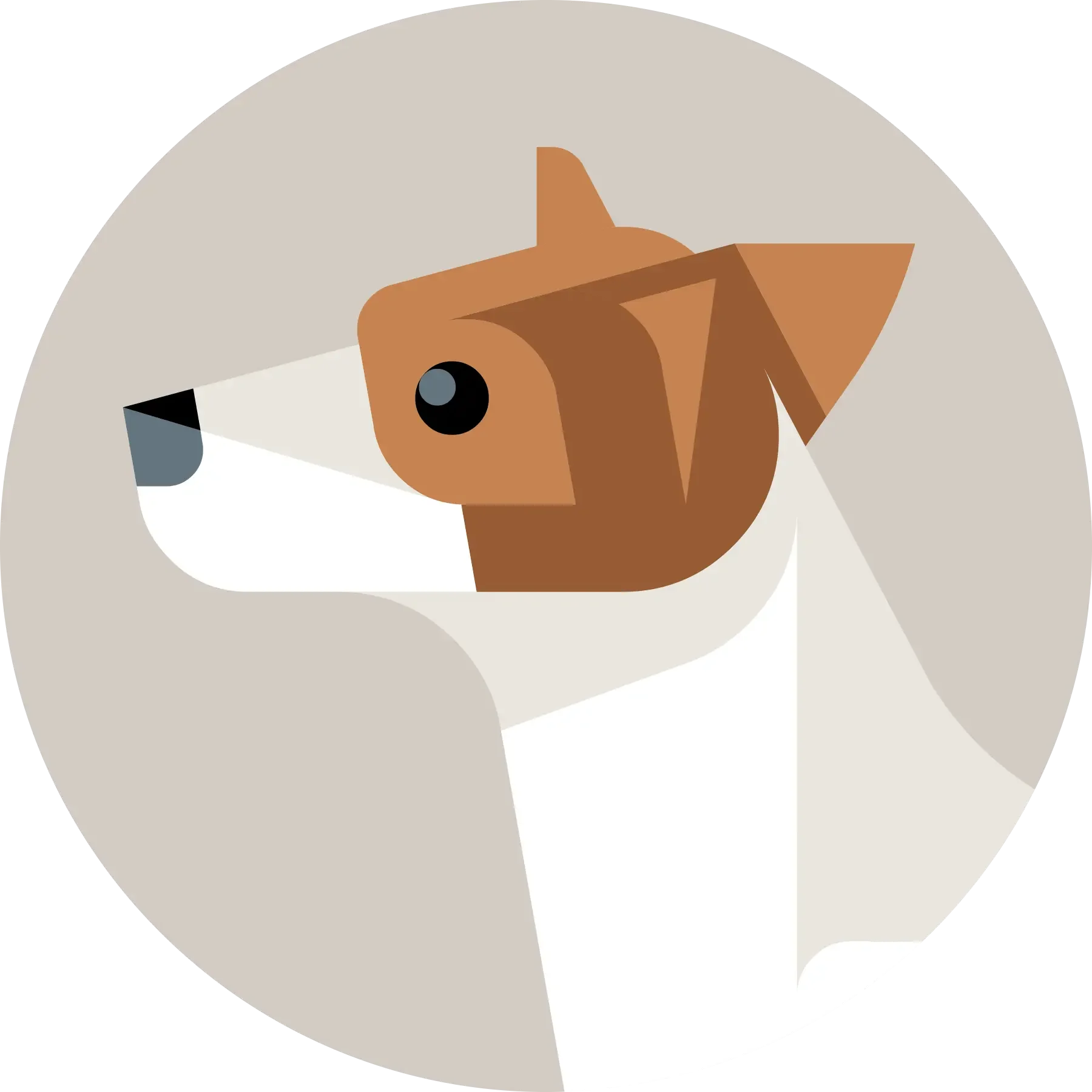 Lumadessa-Jack-Russell-Terrier-CloseUp.webp
