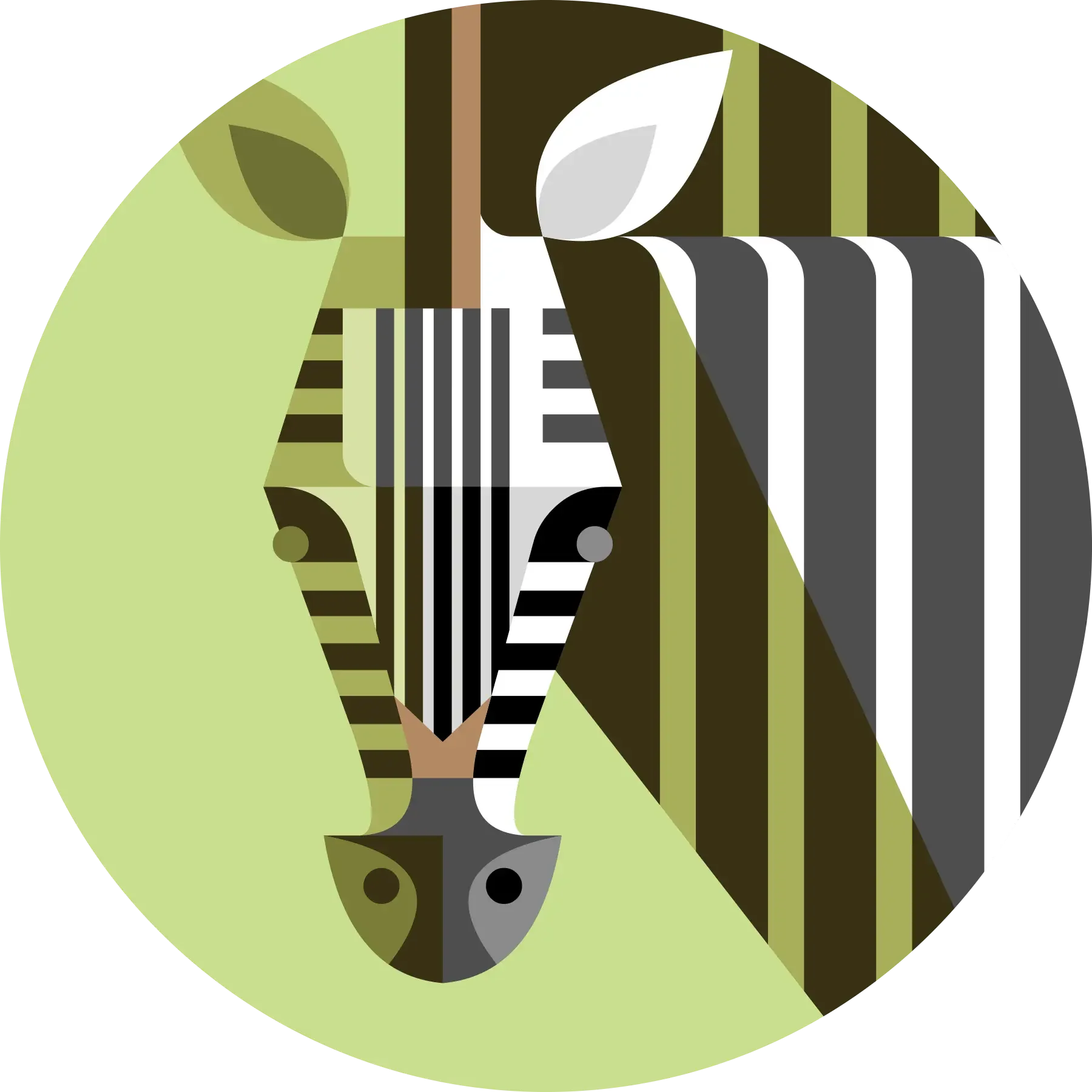 Lumadessa-Zebra-Portrait-Josh-Brill-CloseUp.webp
