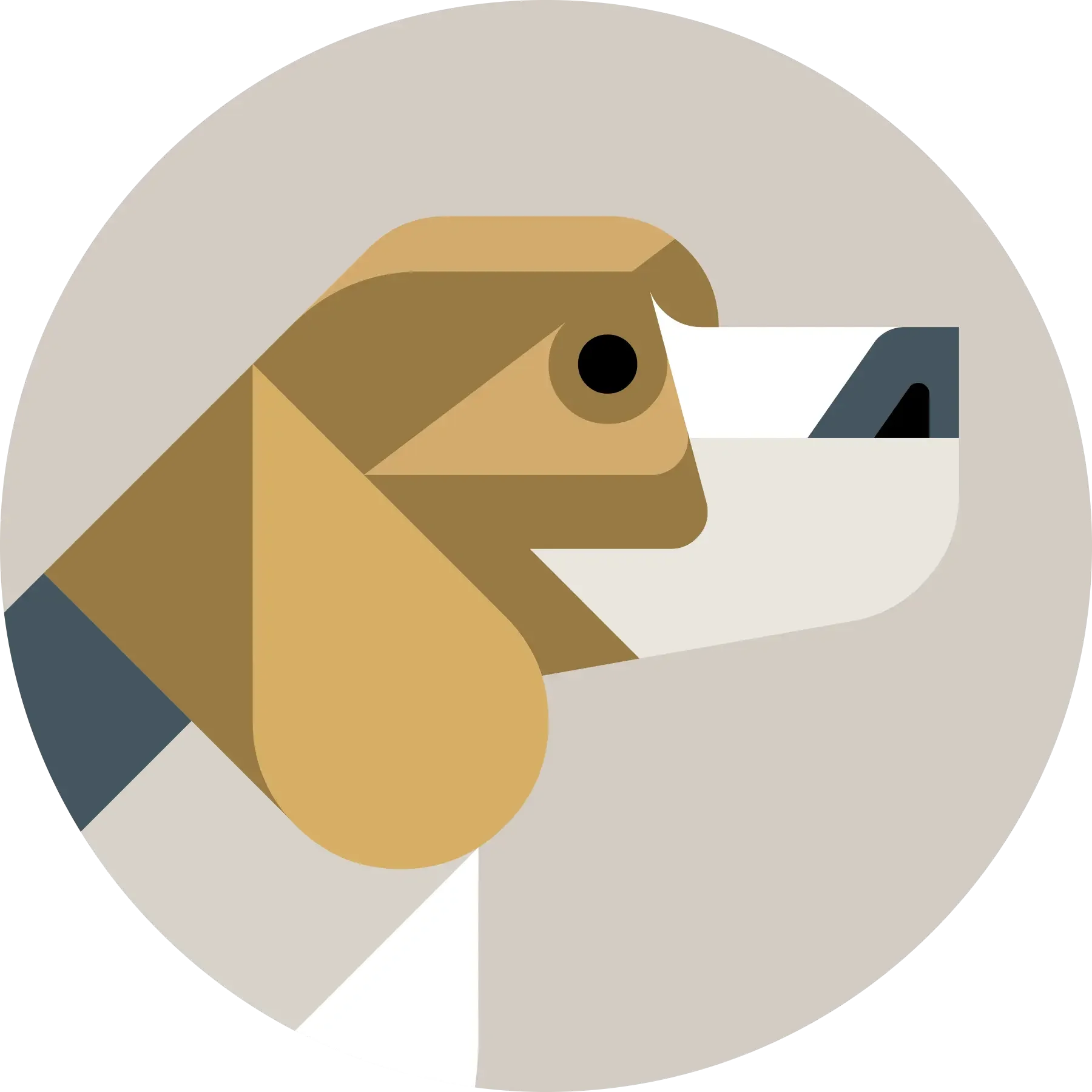 Lumadessa-Beagle-Josh-Brill-CloseUp.webp