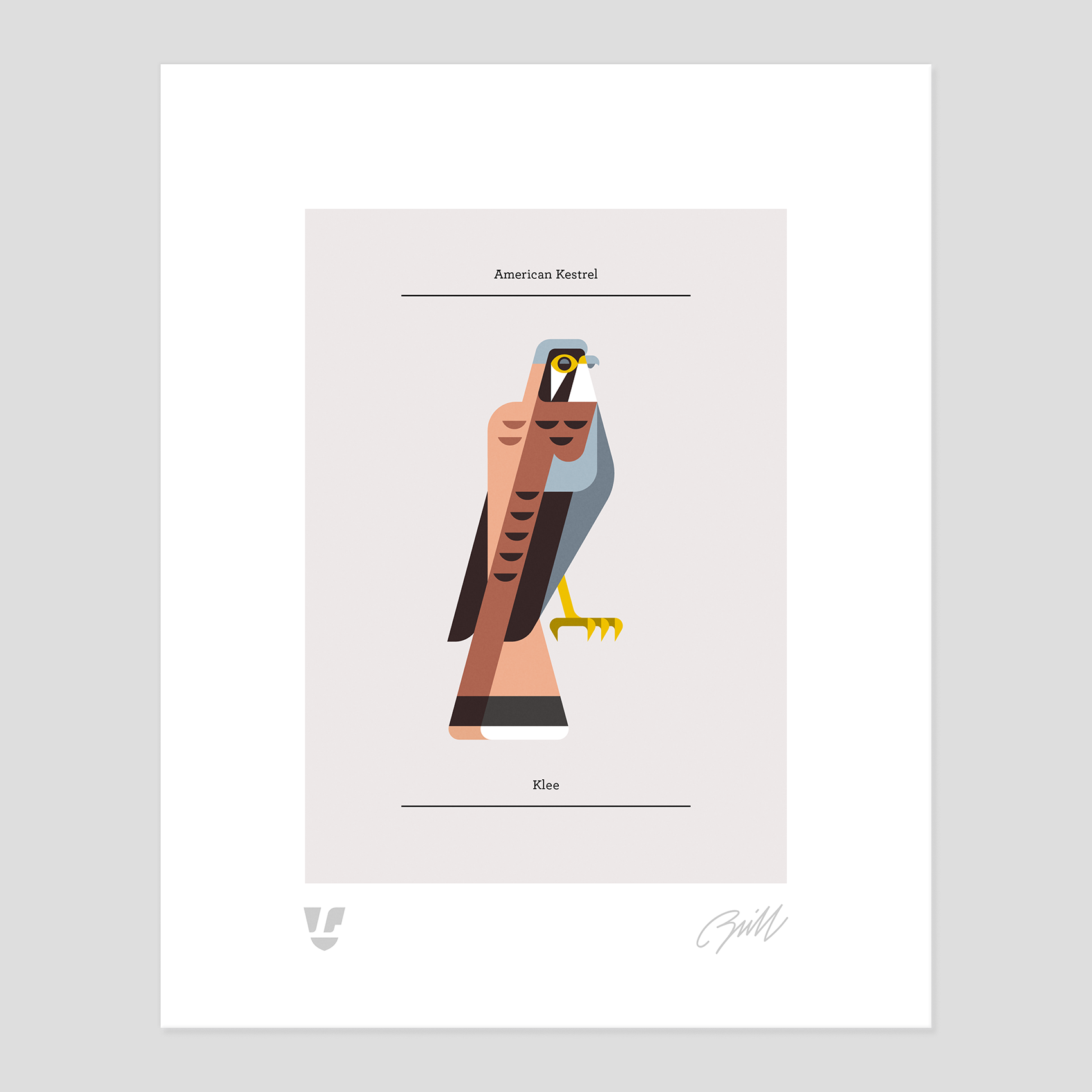 Lumadessa_AmericanKestrel_5x7 (8x10)_Square.png
