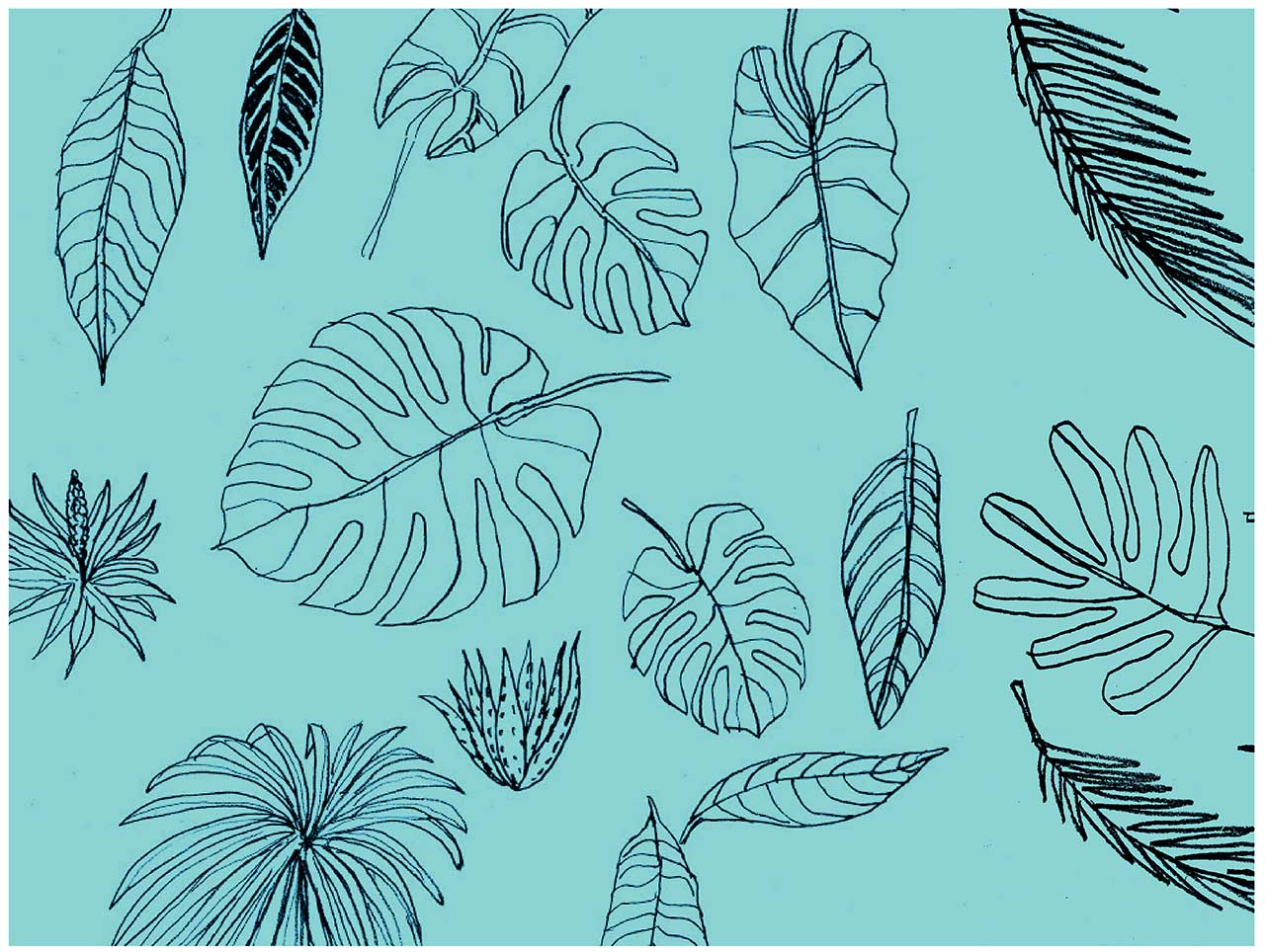 HOGH_BlogPost_Illustration_05.jpg