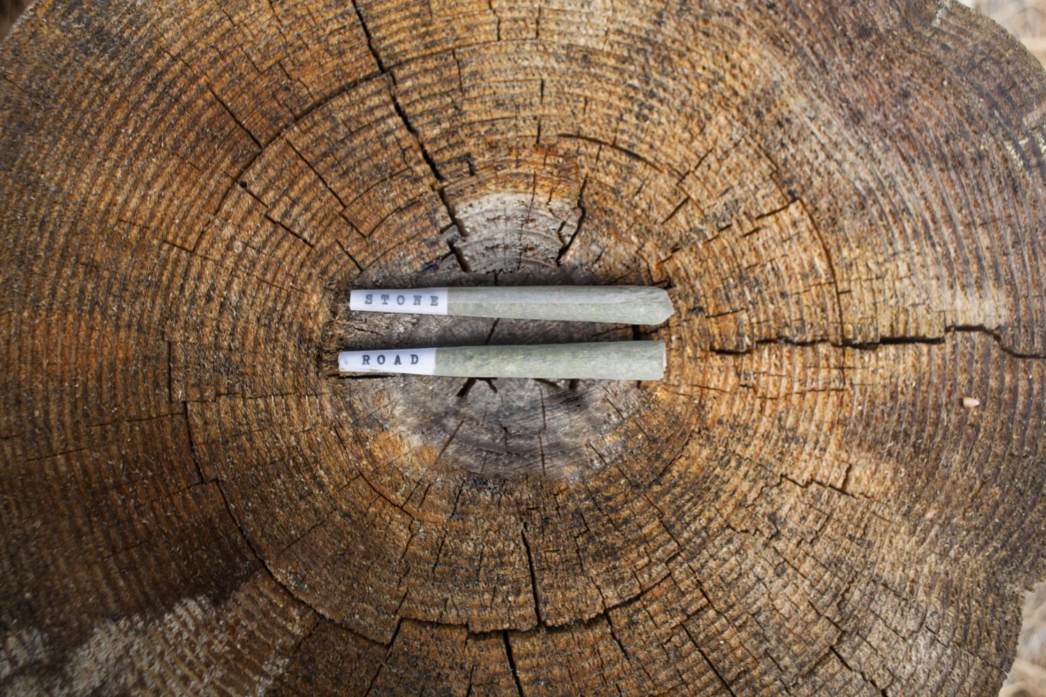 05_Alex_Stikeleather_StoneRoad_Joints_Stump.jpg