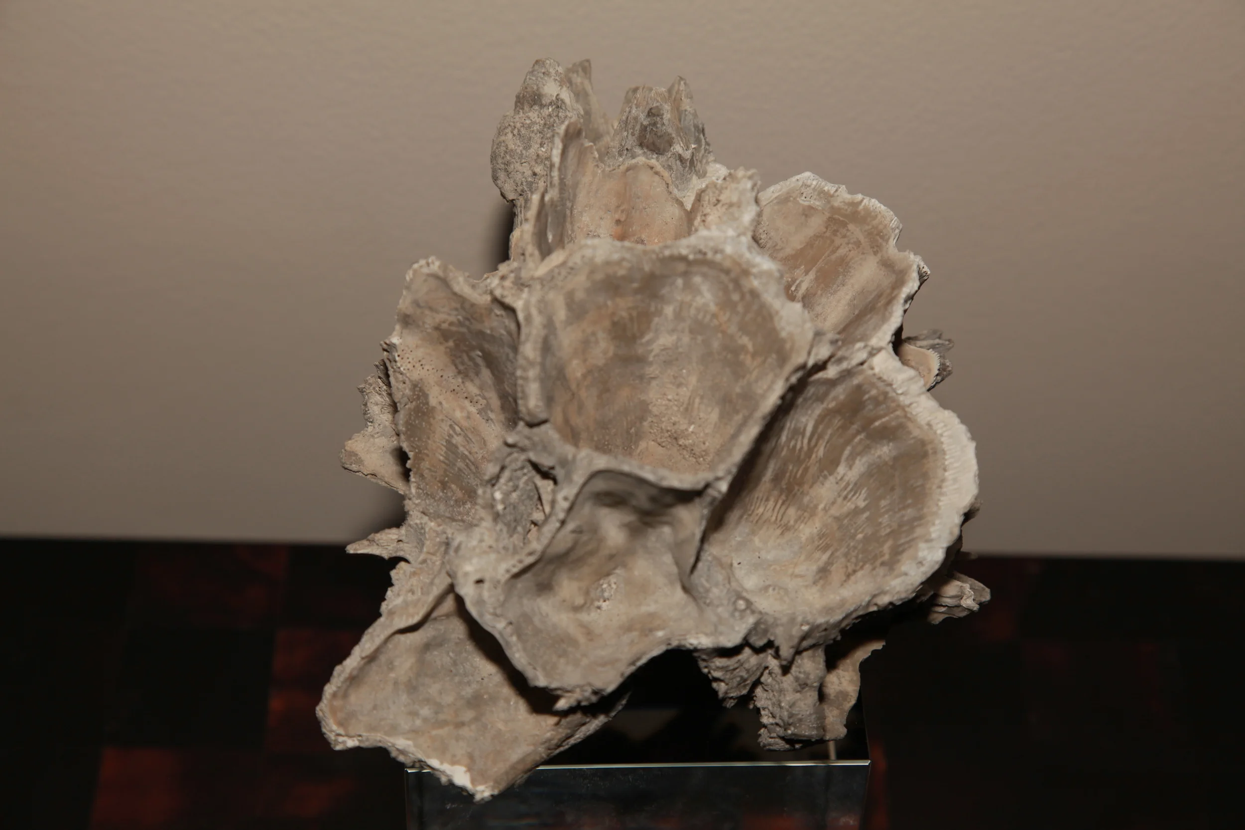 collection_0898.JPG