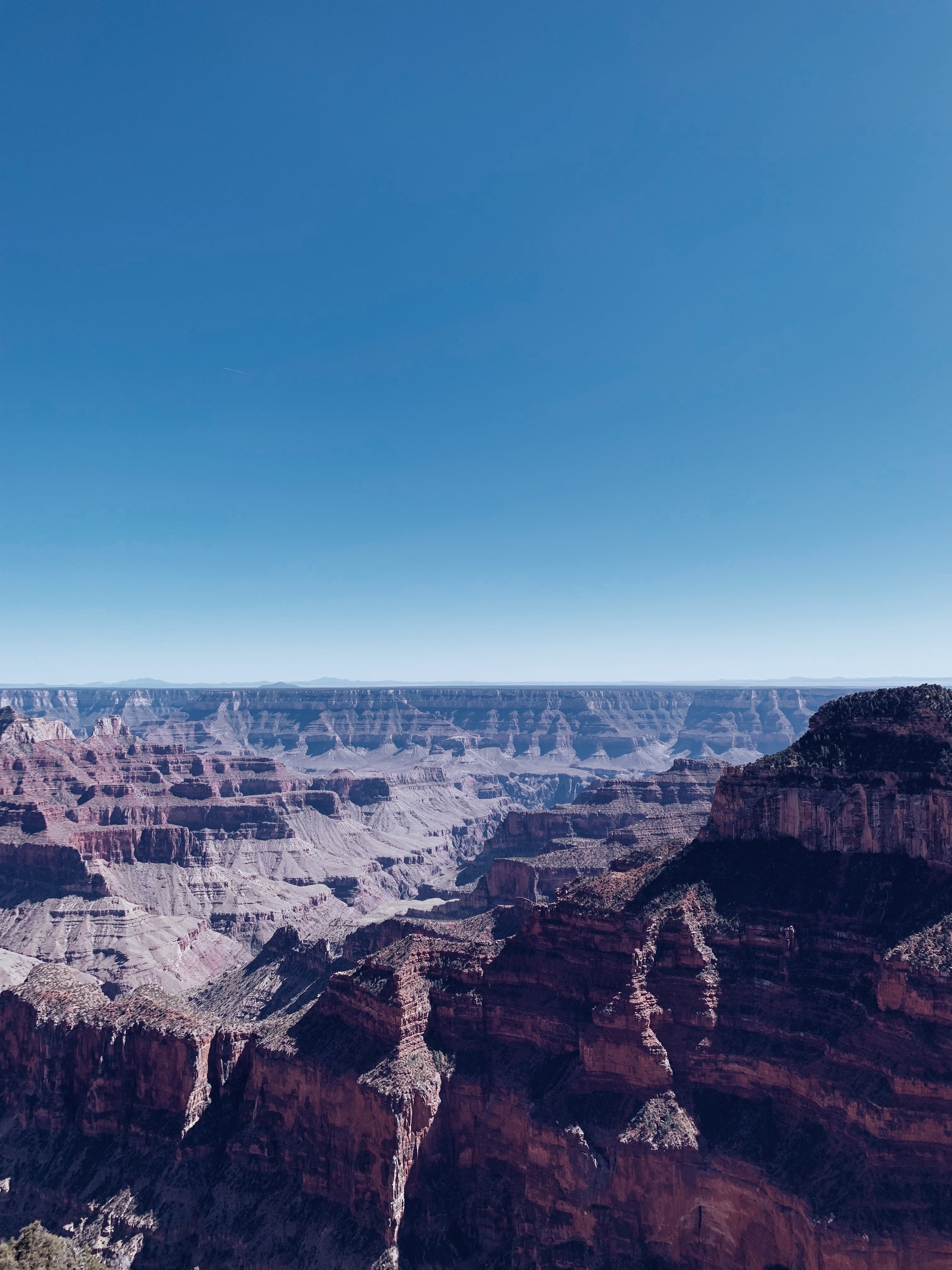 53B91F55-703E-442F-9226-1C77990CE774.jpeg
