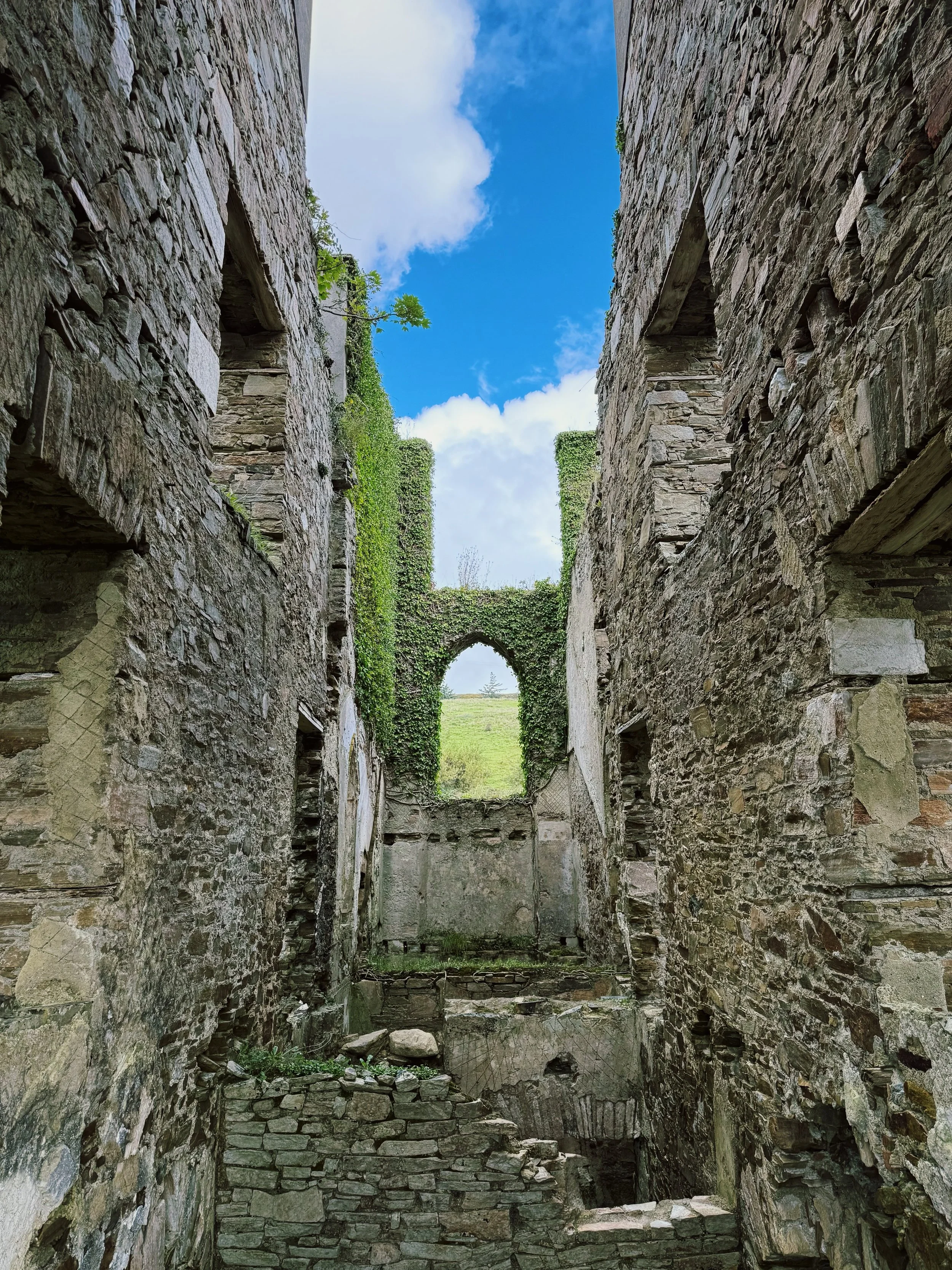 FullSizeRender_VSCO 2.jpg