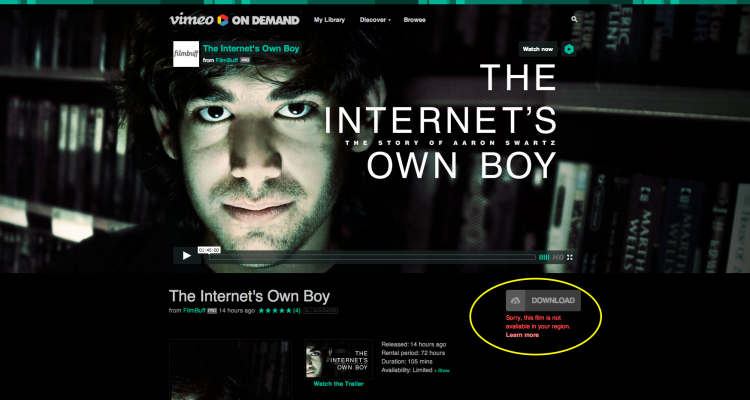 The Internet s Own Boy