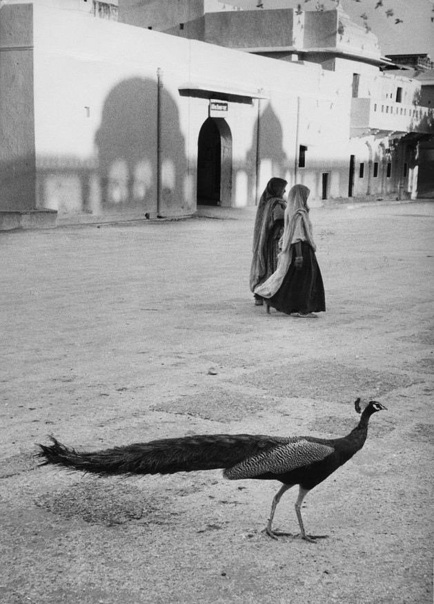 Jaipur, India 1956