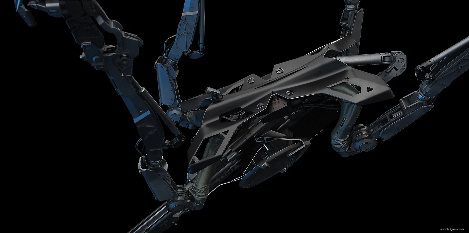 sloth_03_compressed.jpg