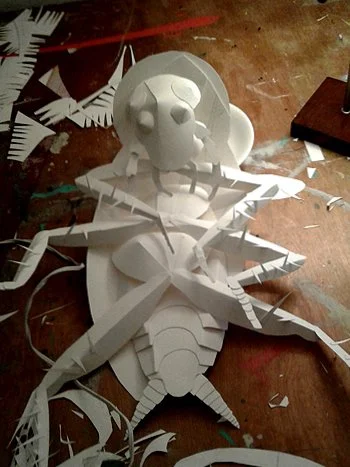 Cockroach_Process.jpg