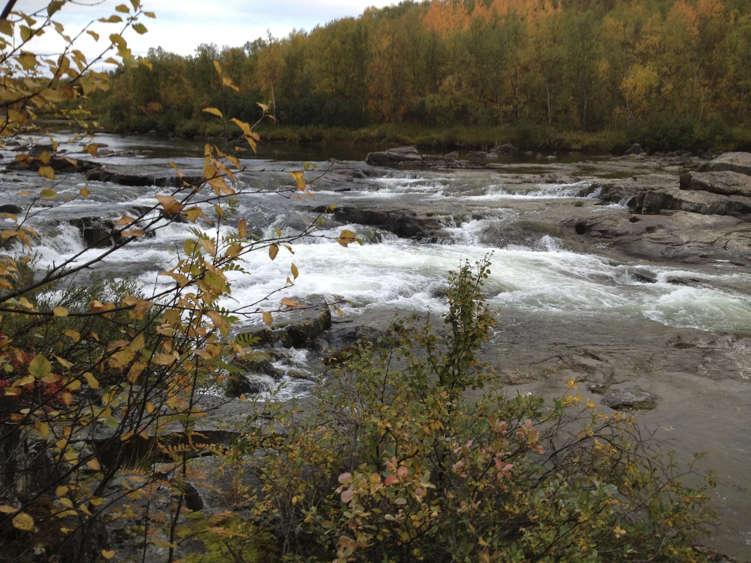 The Neiden river near Neiden, Norway