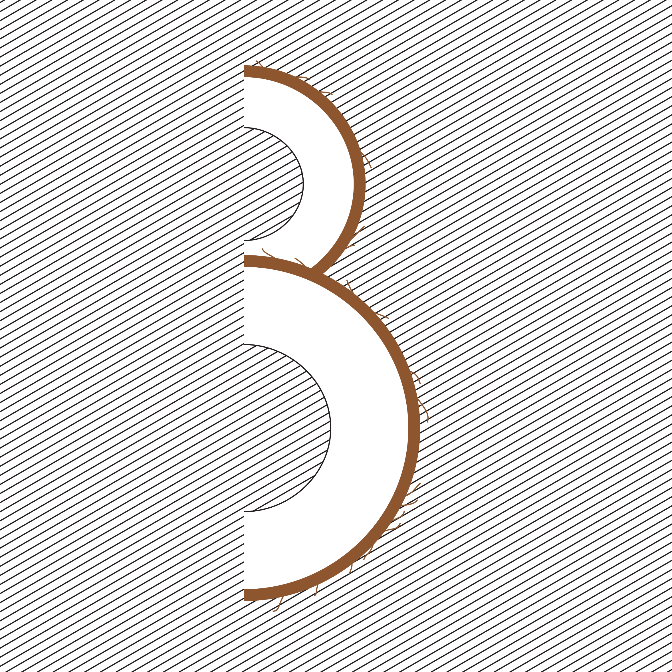 B is for buko: the large oval seed of a tropical palm tree.
