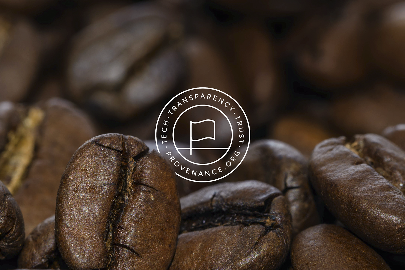 Provenance Marque Coffee Beans.png
