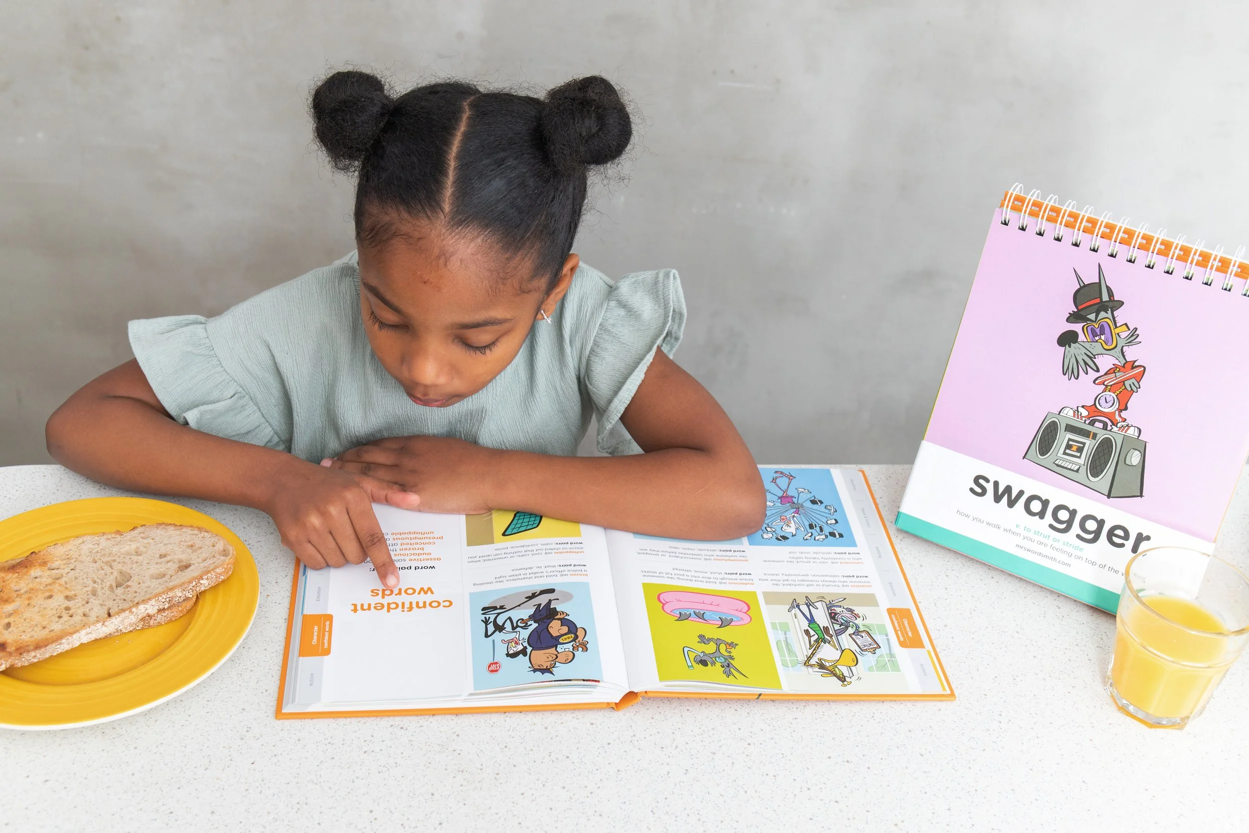 Mrs Wordsmith Storyteller's Illustrated Dictionary and Word a Day