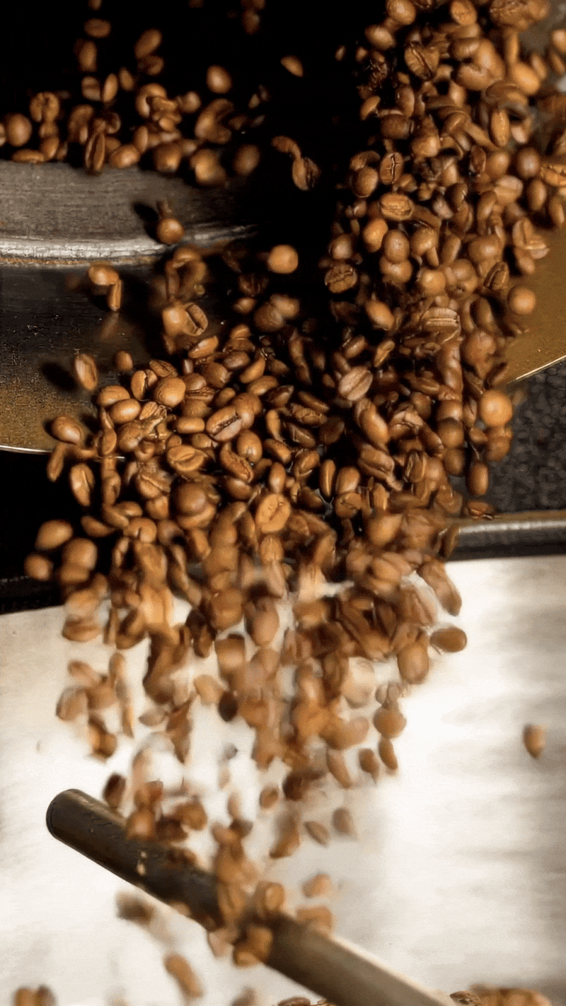 Reformed Coffee Beans Lady San Pedro.gif