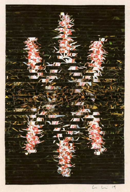125-02_web.jpg