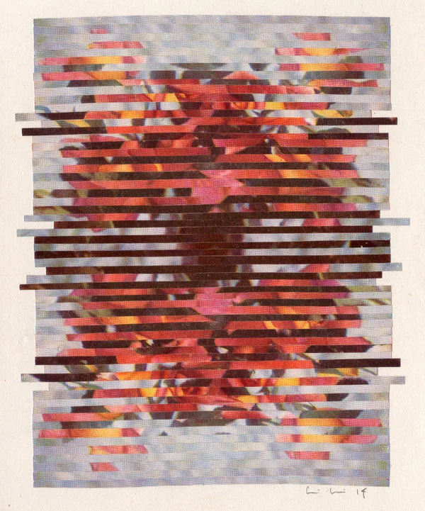 Interference_5_crop.jpg