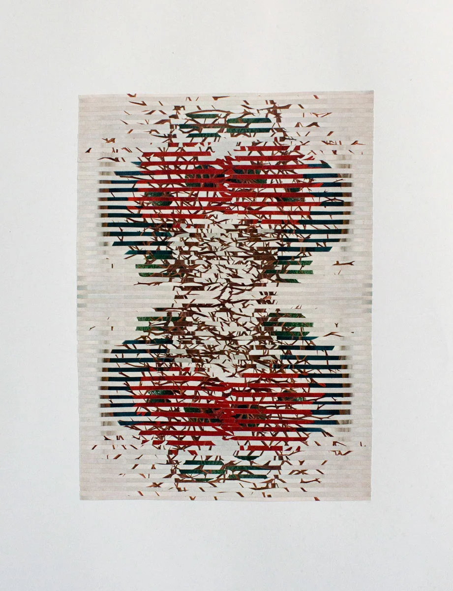 Interference_IV_web14x18.jpg