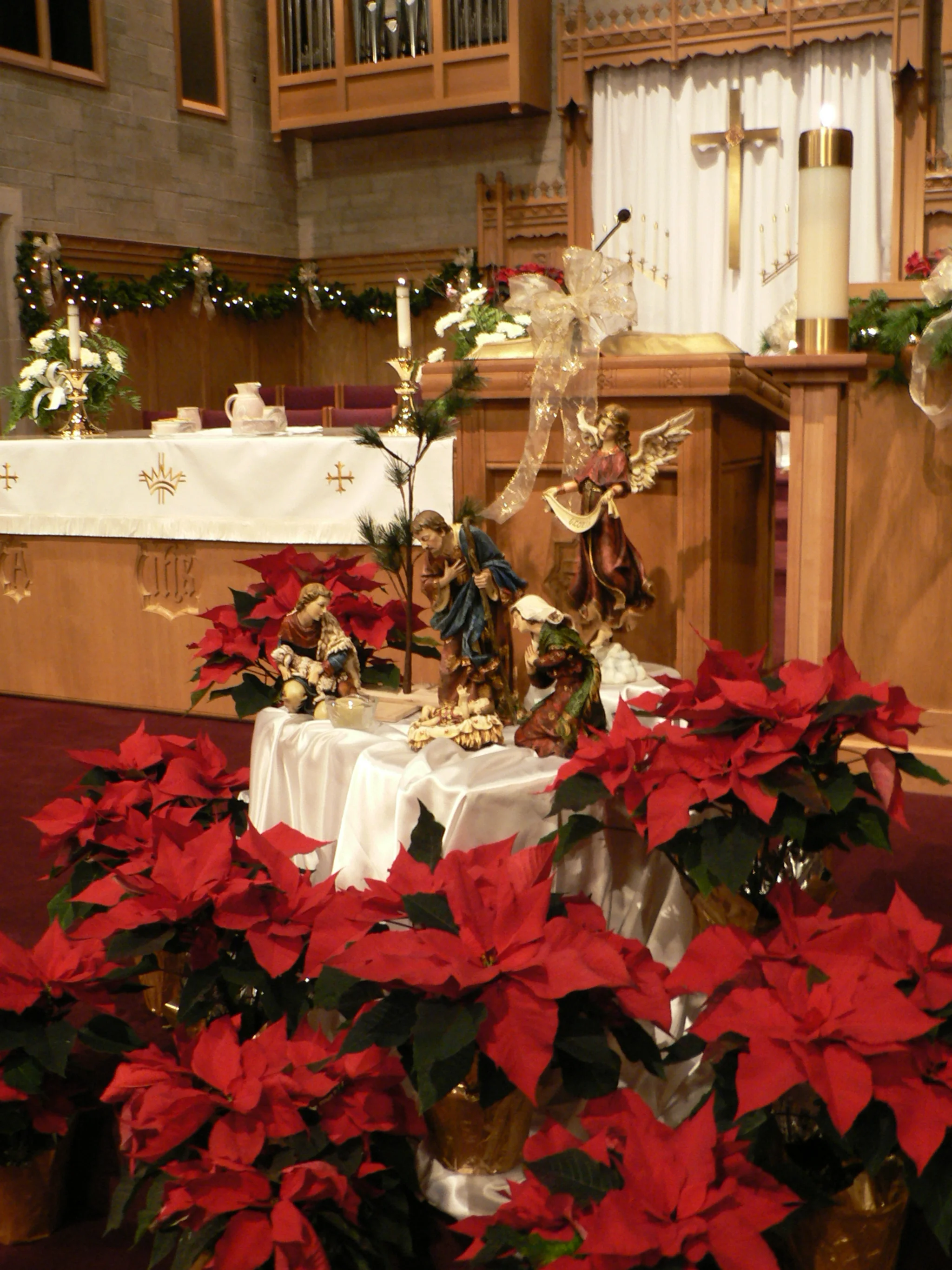 Christmas Poinsettia for the Sanctuary
