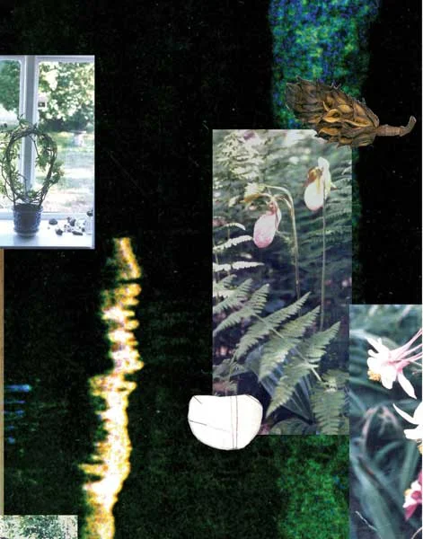  Floating Garden (detail) 