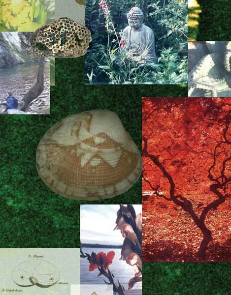  Floating Garden (detail) 