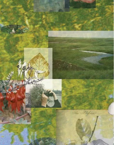  Memory Garden (detail)​ 