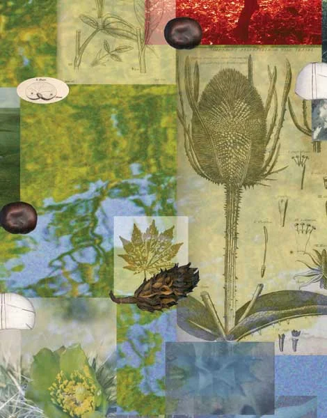  Memory Garden (detail)​ 