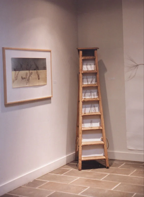 installation-ladder01.jpg