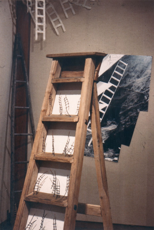 installation-ladder02.jpg