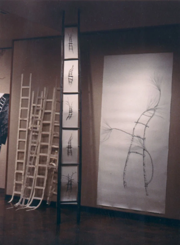 installation-ladder04.jpg