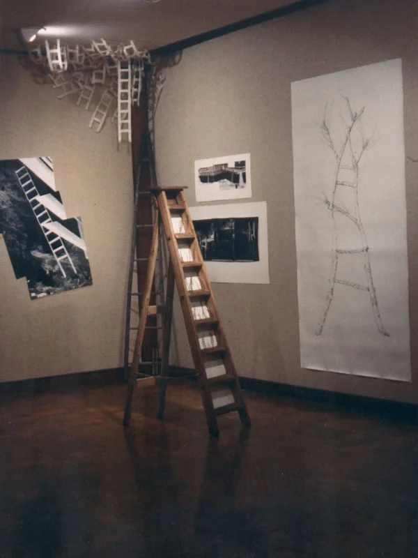 installation-ladder03.jpg