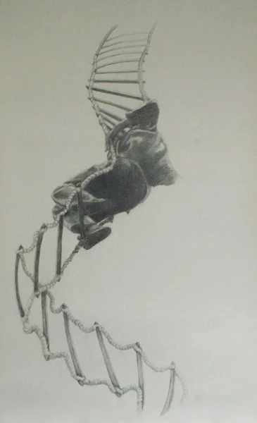 annastrickland-rope.jpg