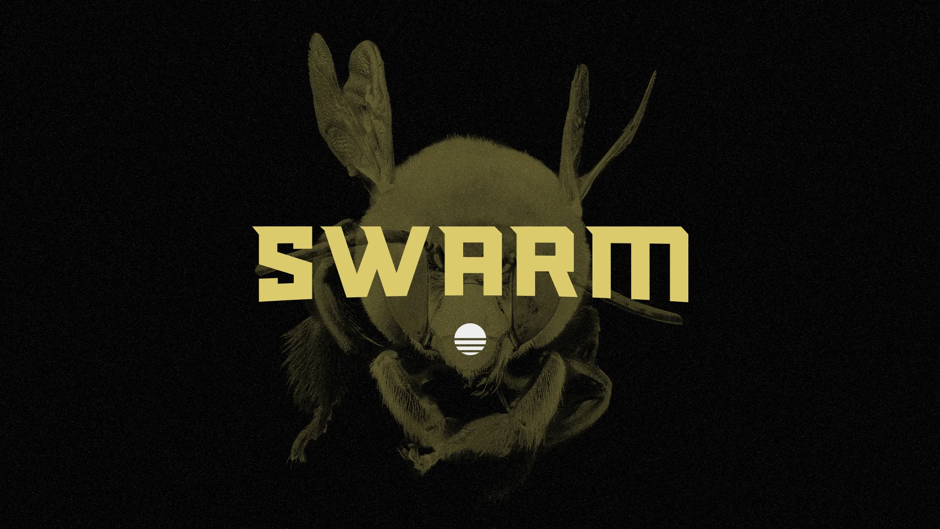 Team Swarm Slide.jpg