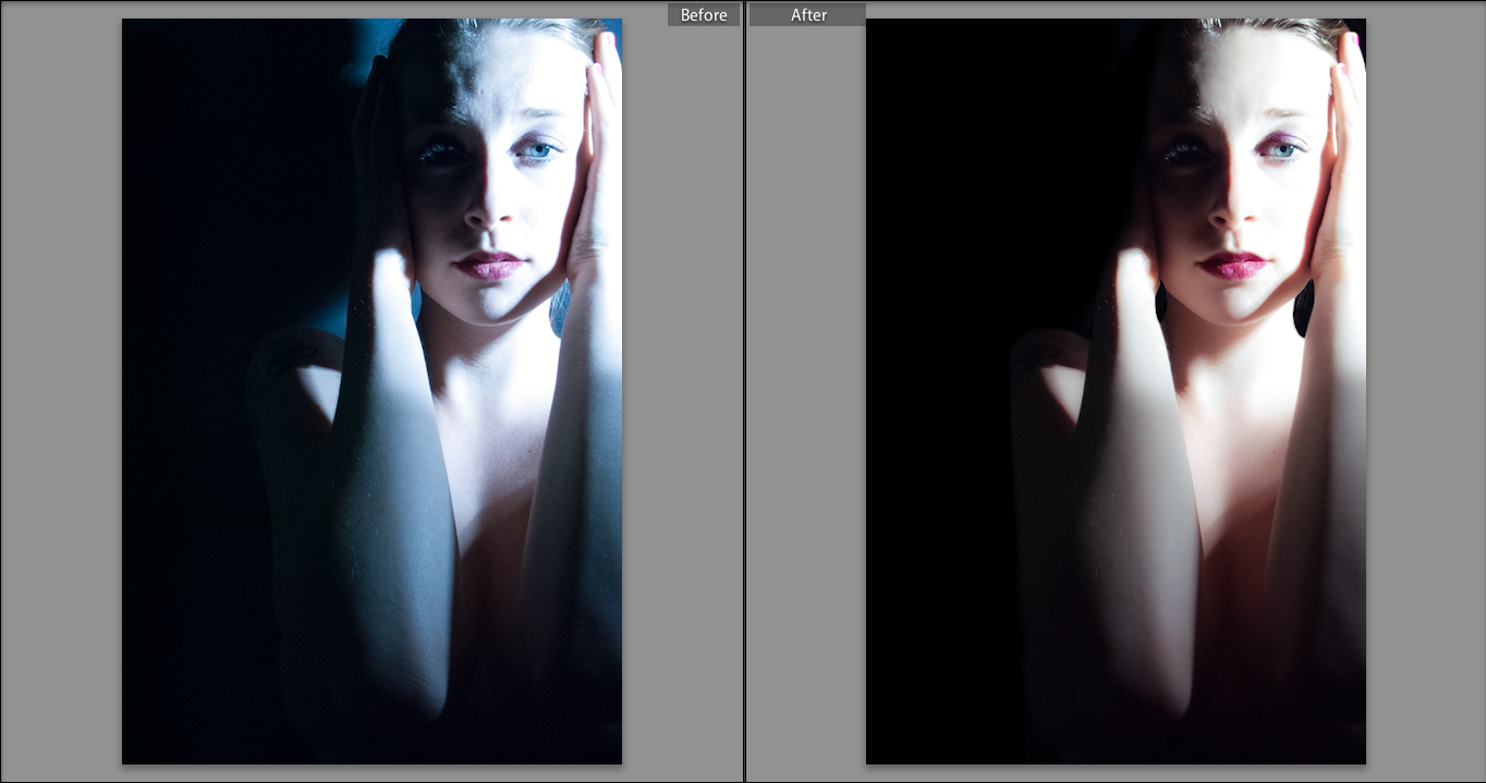 {Adjustment Brush - Darken} Lightroom 4