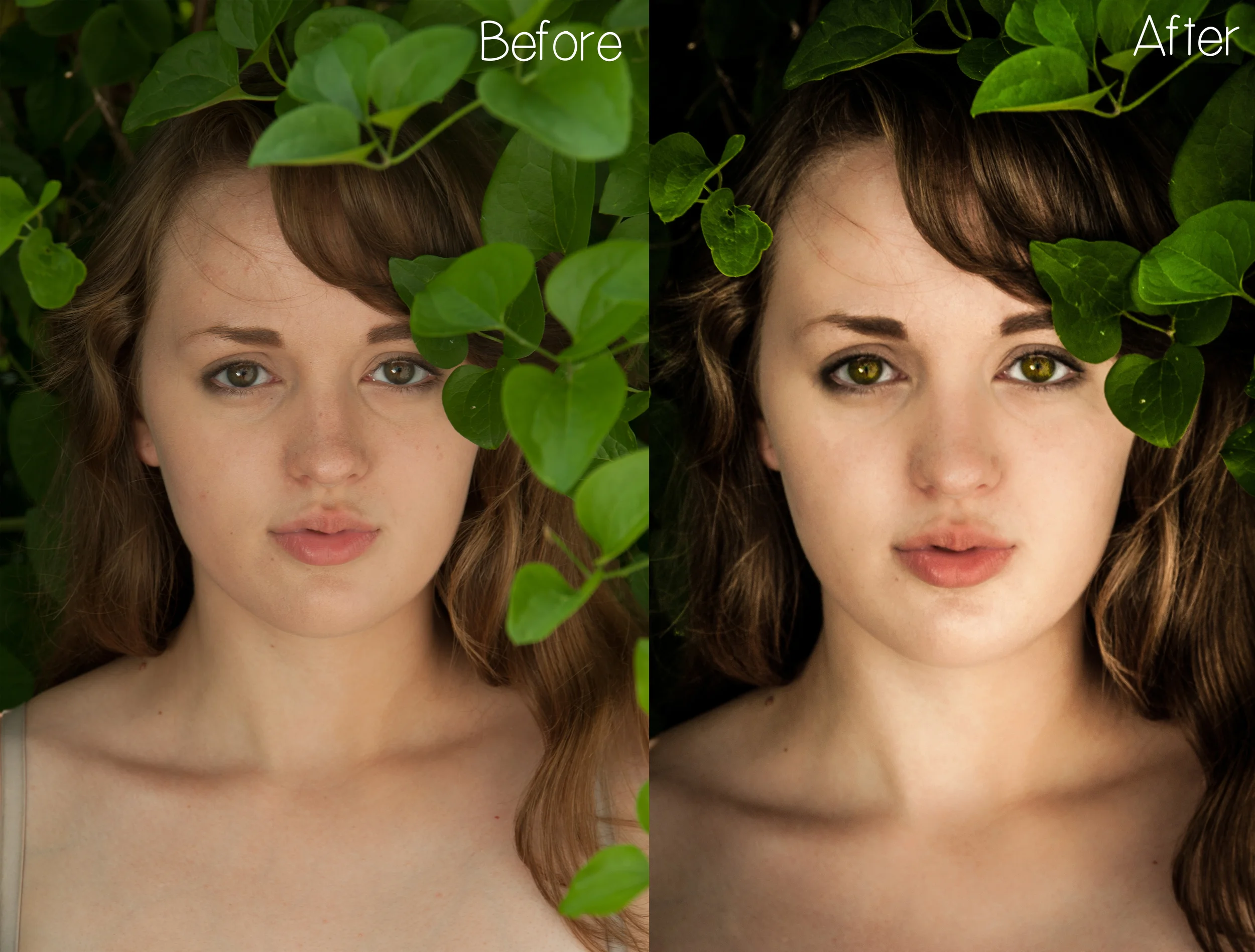 {Wild Rose series - Cloning/Healing} Lightroom 4